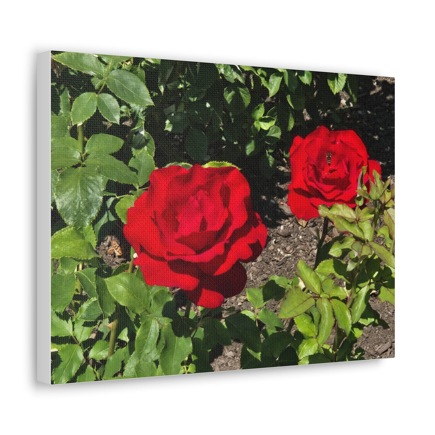 Roses Canvas Gallery Wraps