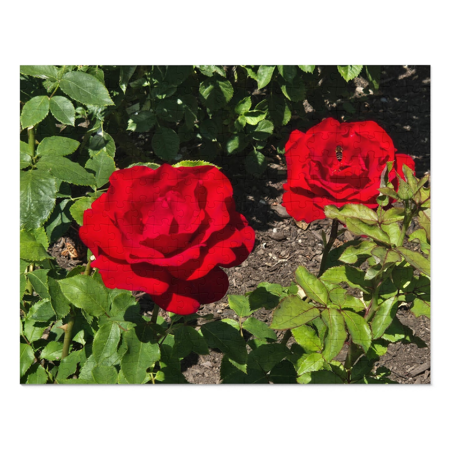 Roses Jigsaw Puzzle (30, 110, 252, 500,1000-Piece)