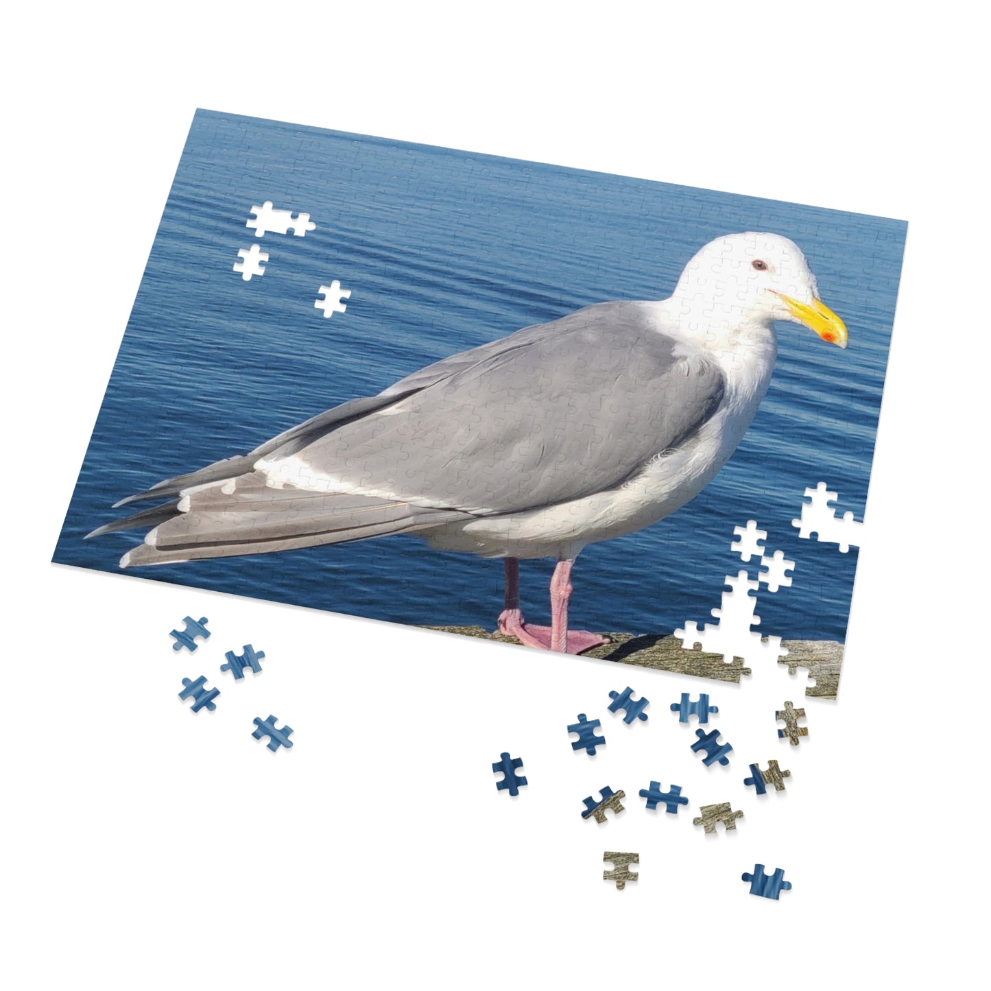 Victoria Seagull Jigsaw Puzzle