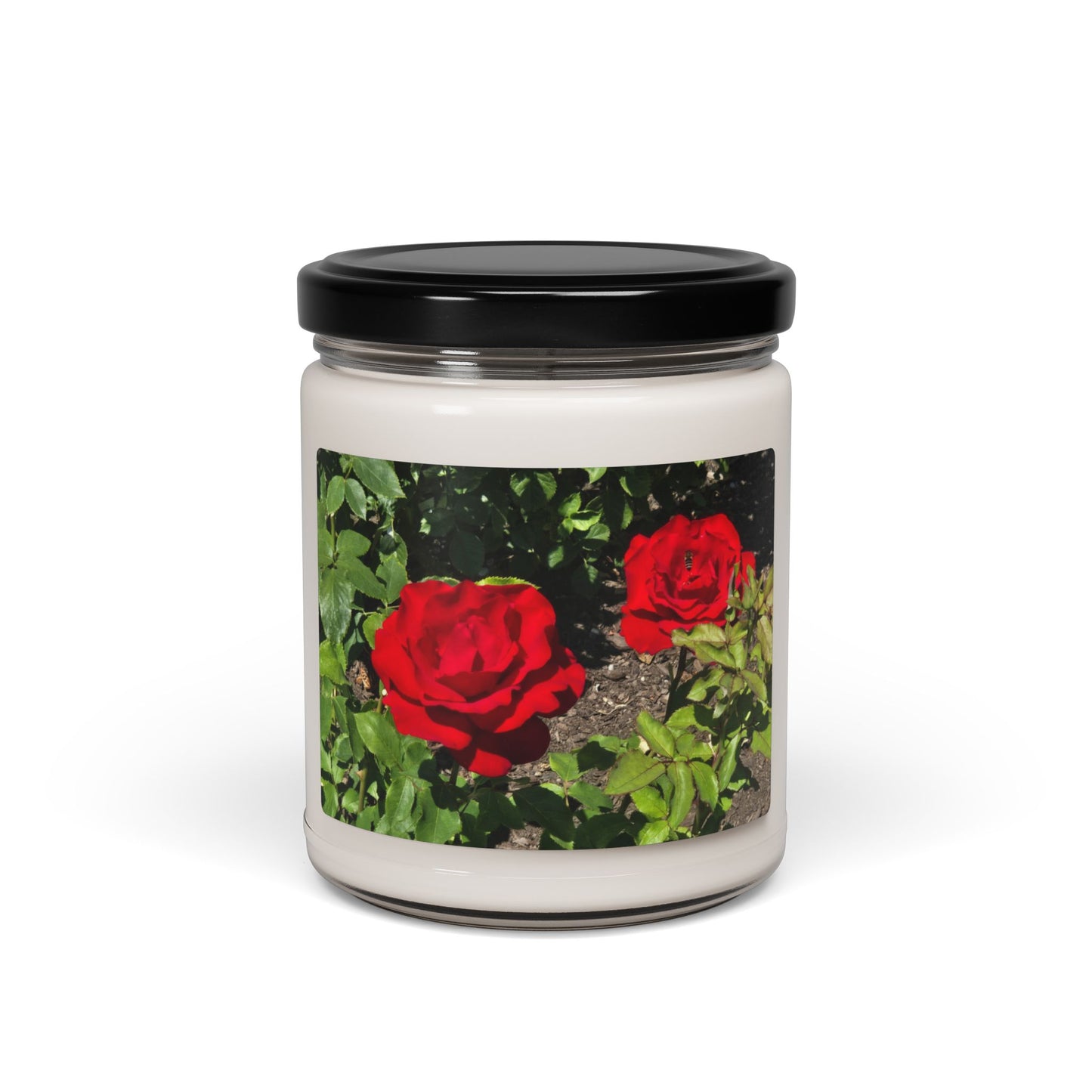 Roses Scented Soy Candle, 9oz