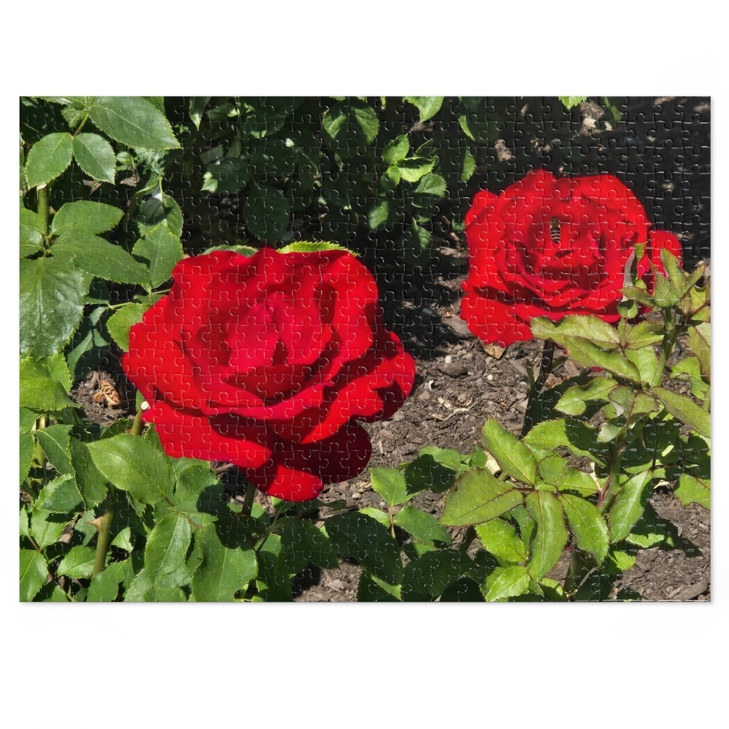 Roses Jigsaw Puzzle (30, 110, 252, 500,1000-Piece)