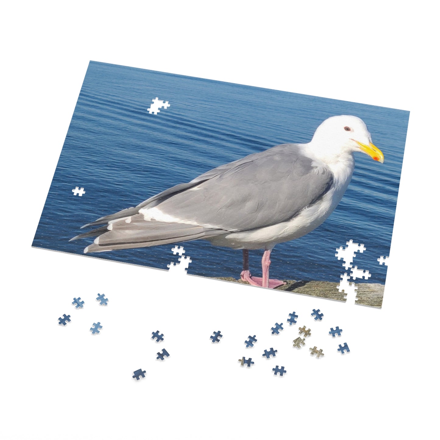 Victoria Seagull Jigsaw Puzzle