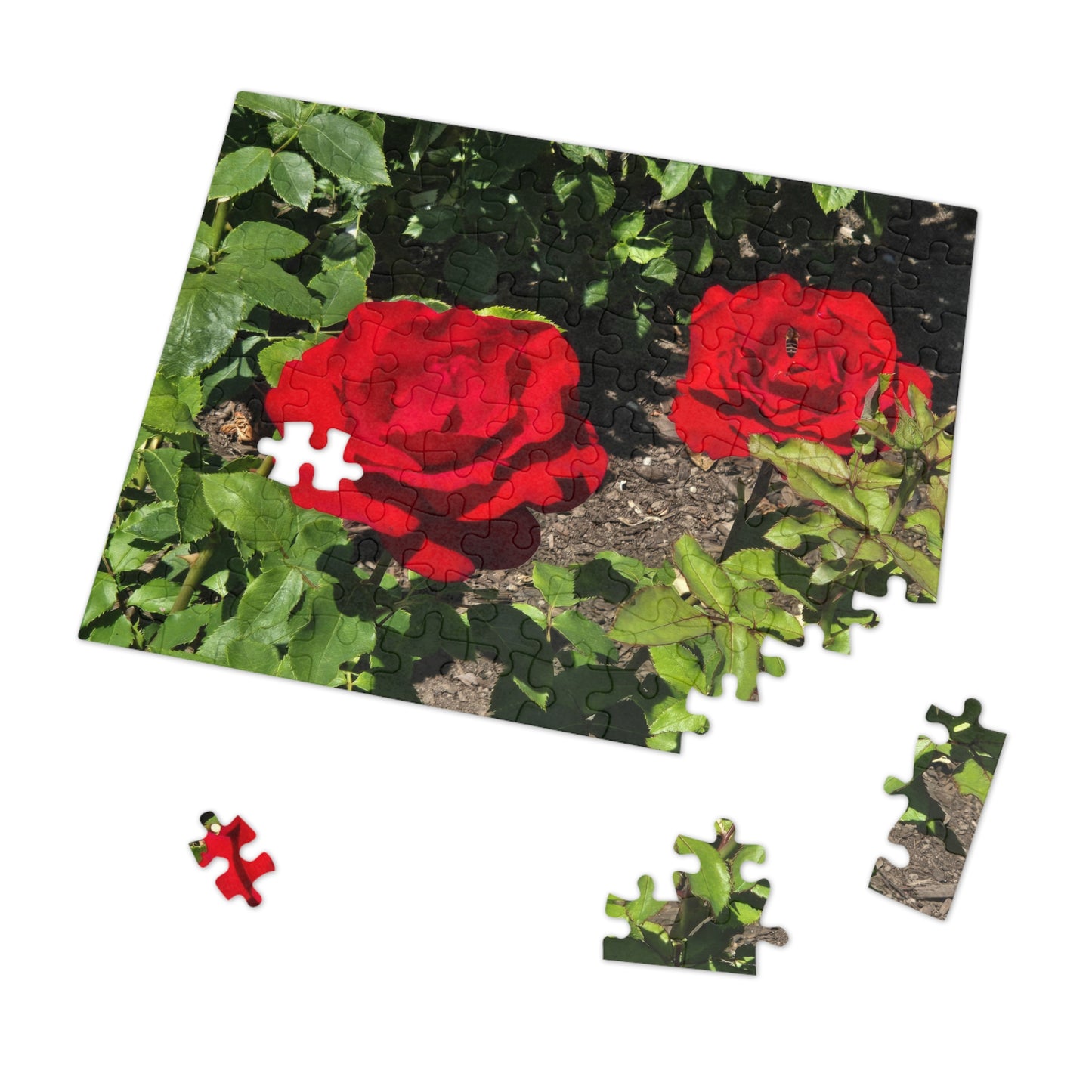 Roses Jigsaw Puzzle (30, 110, 252, 500,1000-Piece)