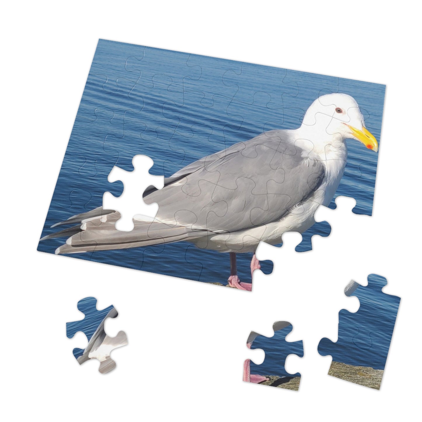 Victoria Seagull Jigsaw Puzzle