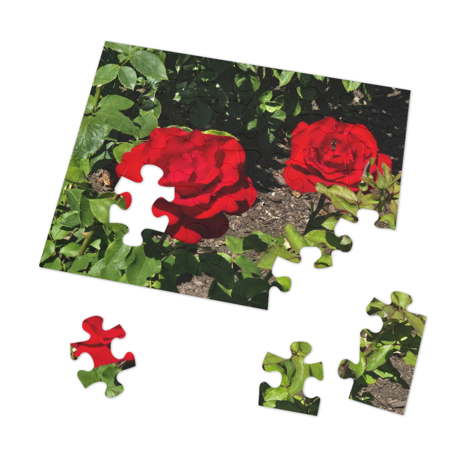 Roses Jigsaw Puzzle (30, 110, 252, 500,1000-Piece)