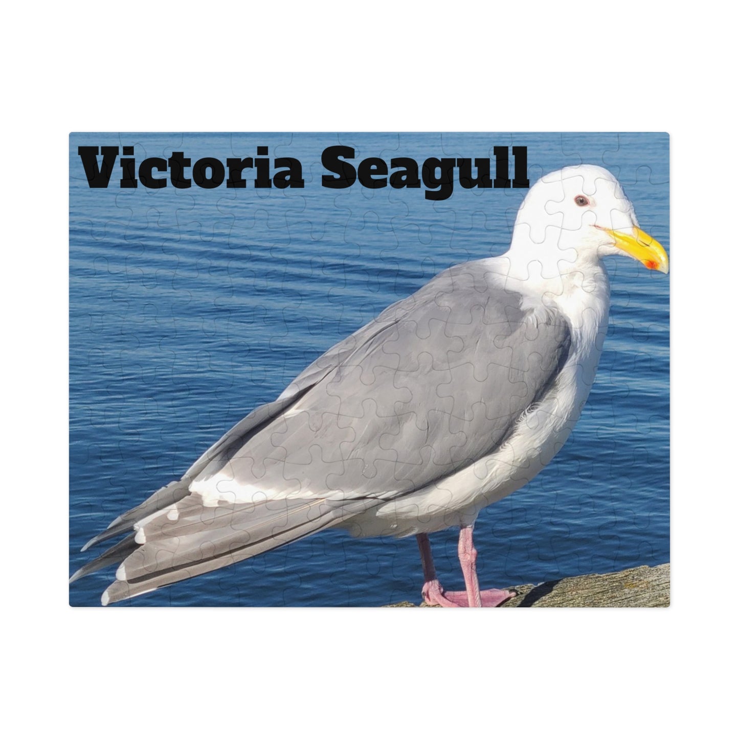 Victoria Seagull Jigsaw Puzzle