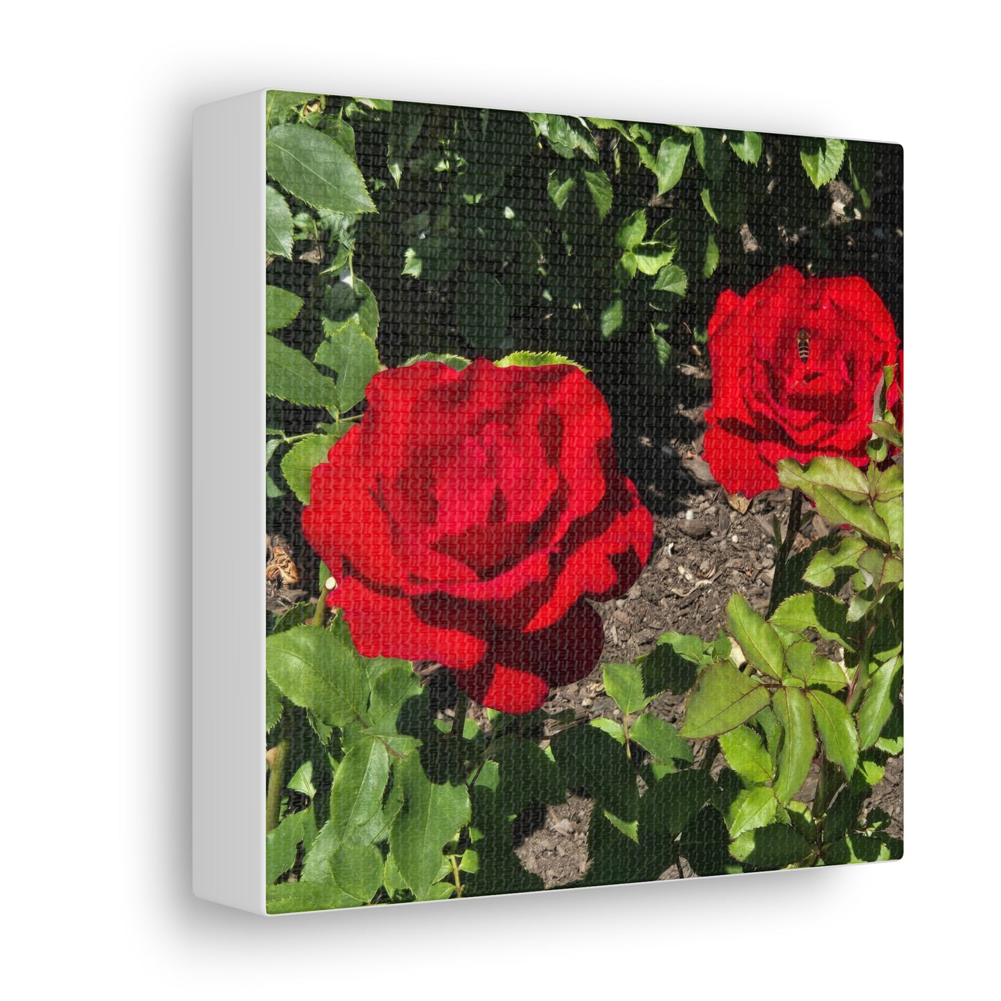 Roses Canvas Gallery Wraps