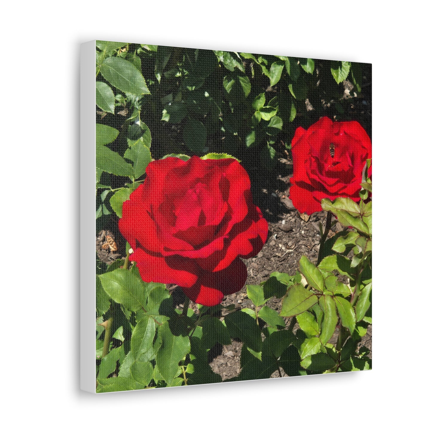 Roses Canvas Gallery Wraps