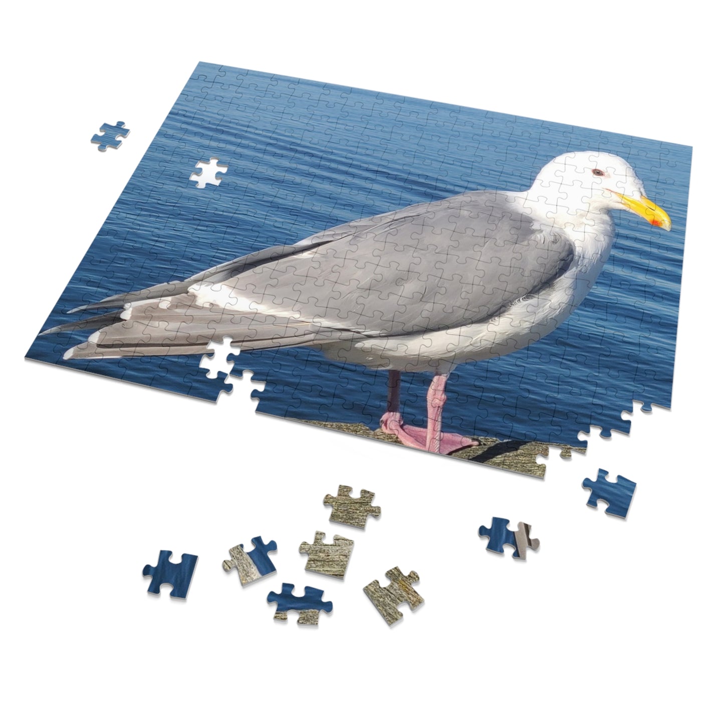 Victoria Seagull Jigsaw Puzzle