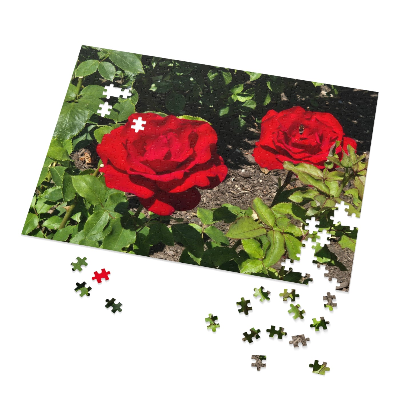 Roses Jigsaw Puzzle (30, 110, 252, 500,1000-Piece)