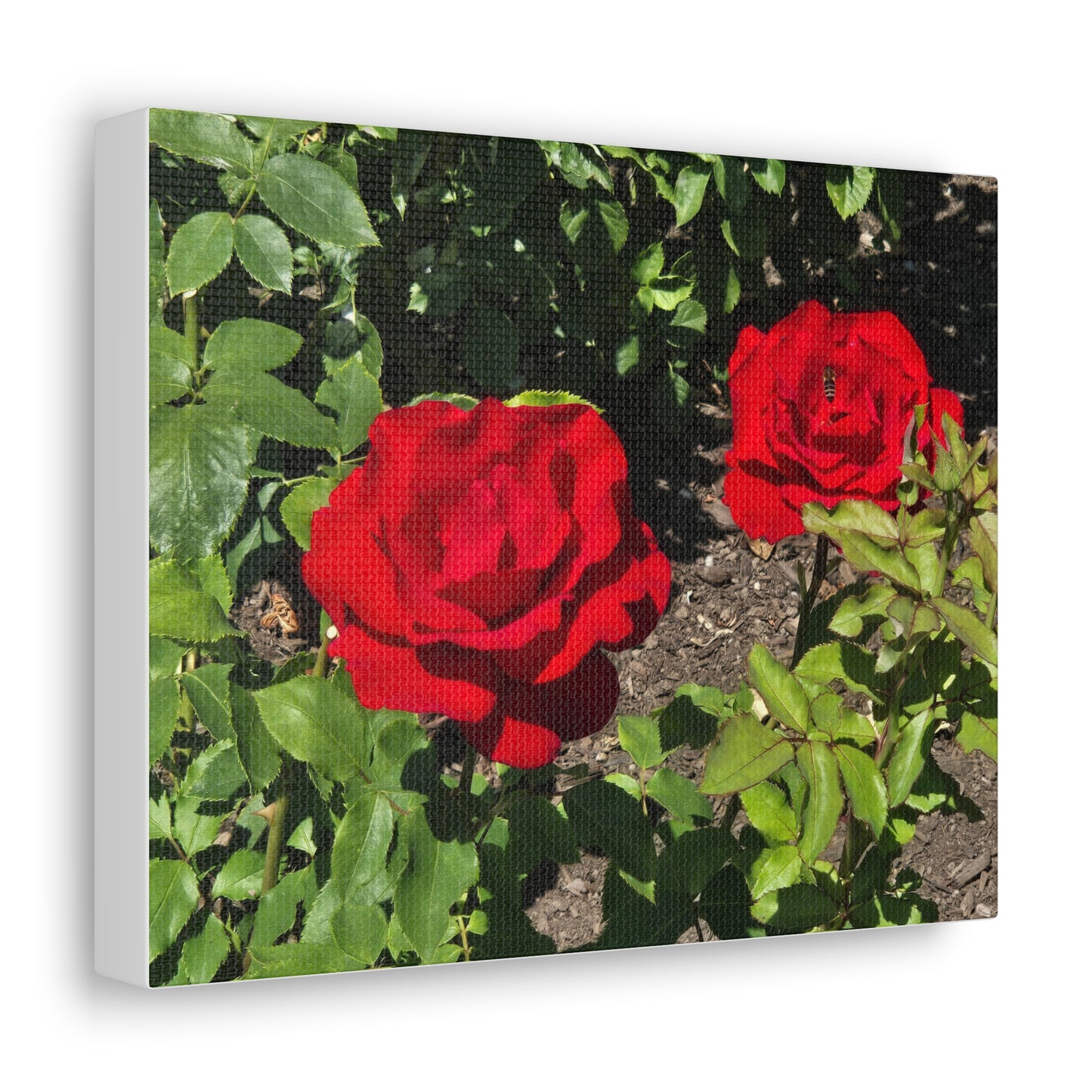 Roses Canvas Gallery Wraps